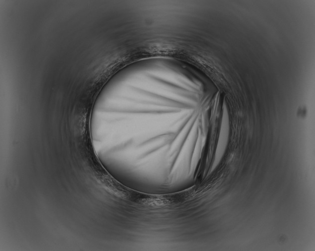 X0000090970652200708241317