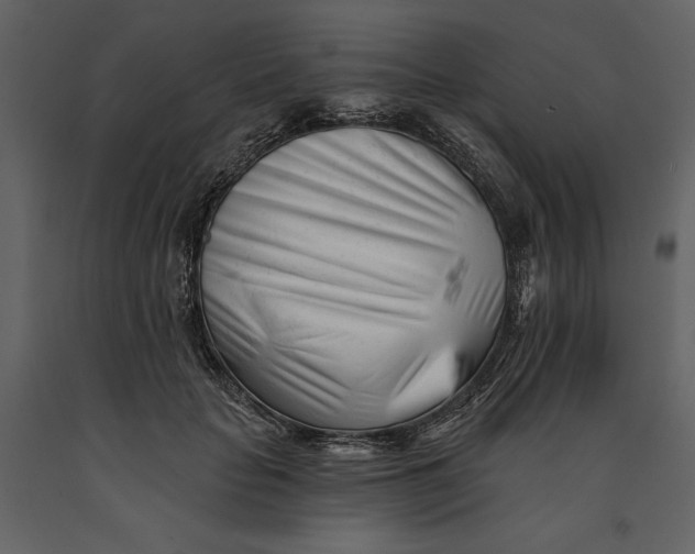 X0000090970653200708241317