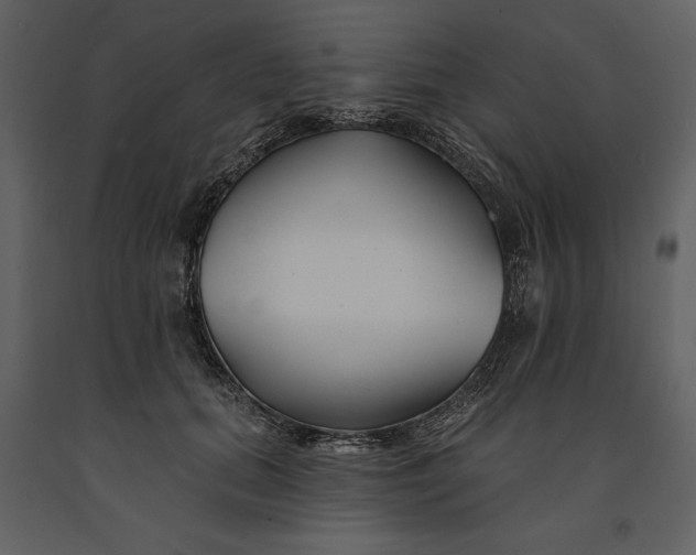 X0000090970655200708241317