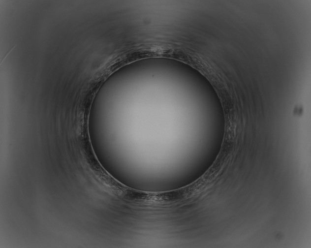 X0000090970656200708241317