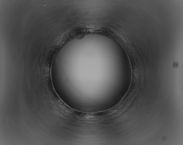 X0000090970657200708241317