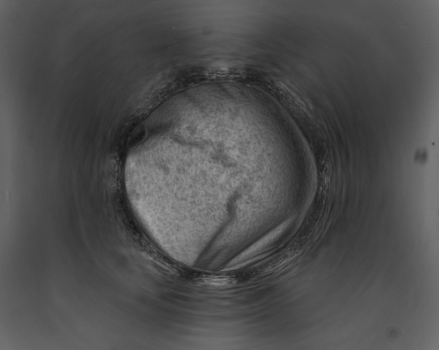 X0000090970659200708241317