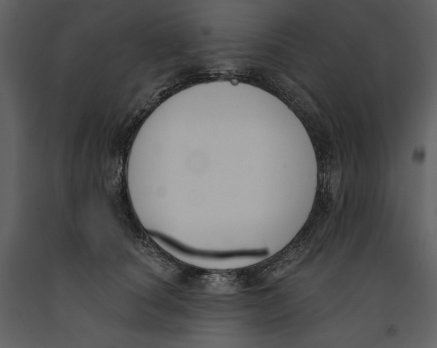 X0000090970660200708241317