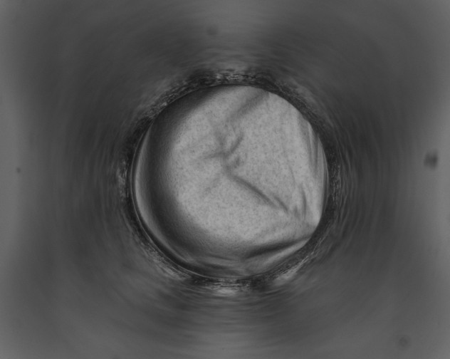 X0000090970661200708241317