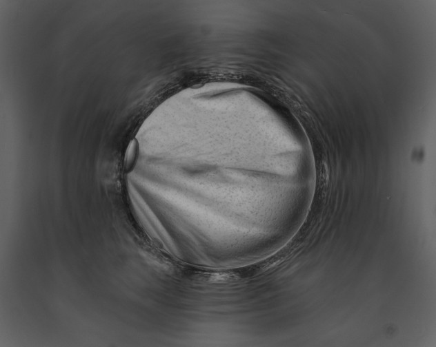 X0000090970663200708241317