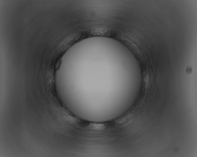 X0000090970665200708241317