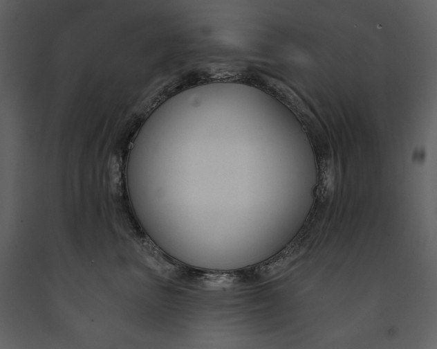 X0000090970667200708241317