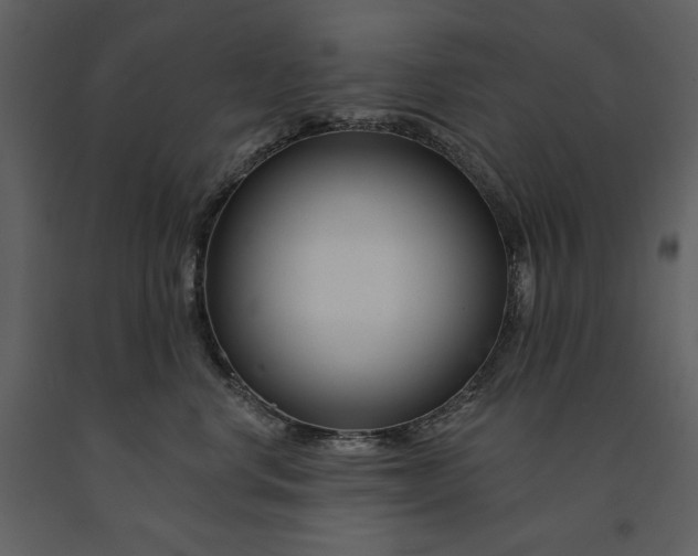 X0000090970668200708241317