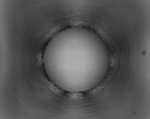 X0000090970670200708241317