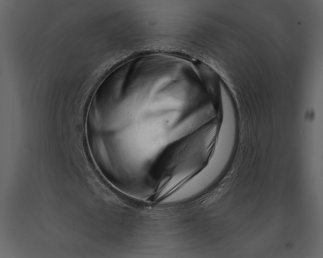 X0000090970673200708241316