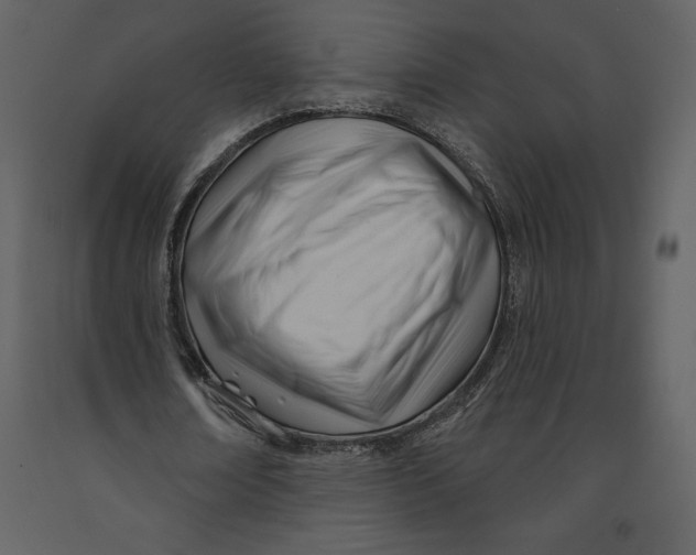 X0000090970674200708241316