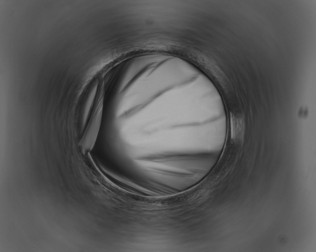 X0000090970675200708241316