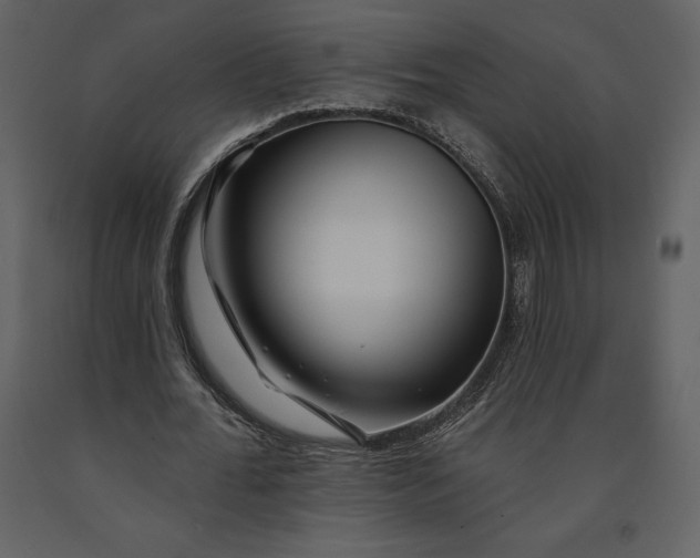 X0000090970676200708241316