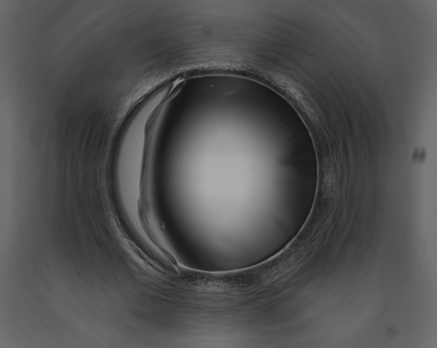 X0000090970677200708241316