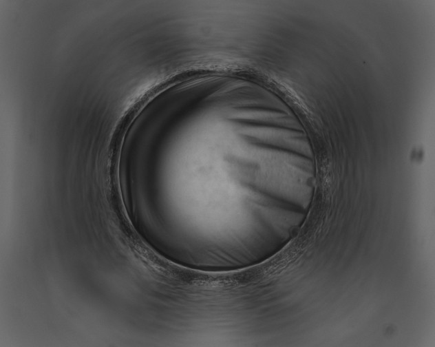 X0000090970679200708241316