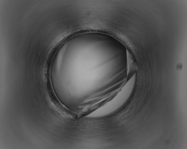 X0000090970680200708241316