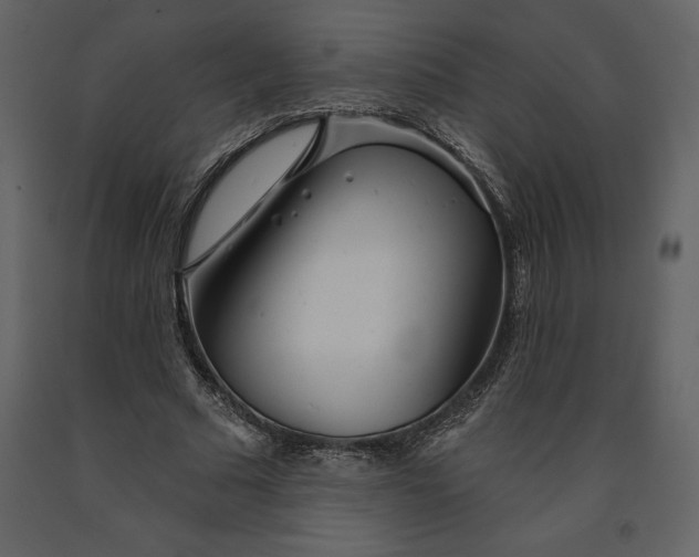 X0000090970681200708241316