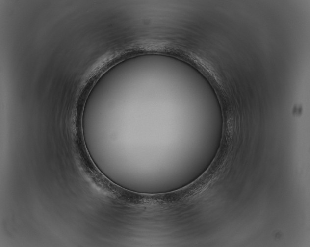 X0000090970682200708241316