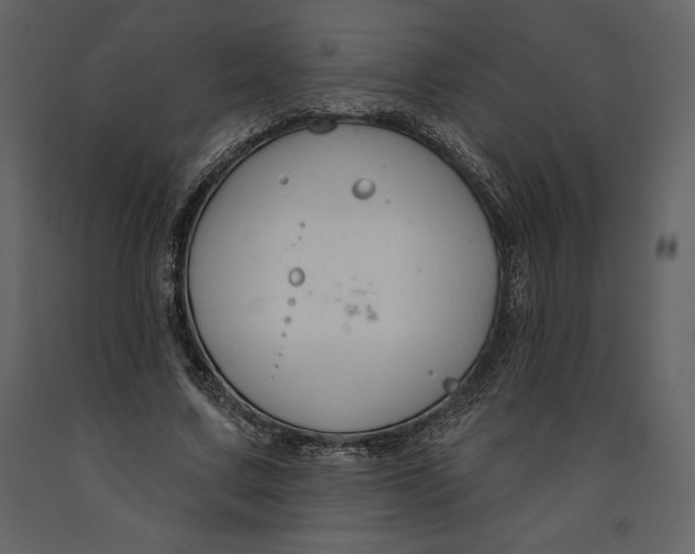 X0000090970683200708241316