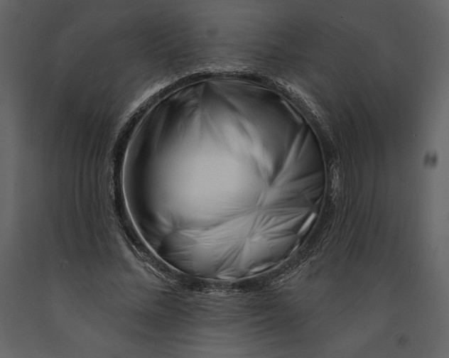 X0000090970684200708241316