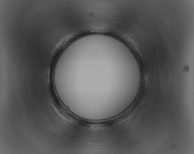 X0000090970686200708241316