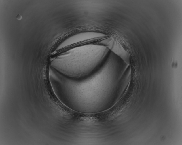 X0000090970689200708241316