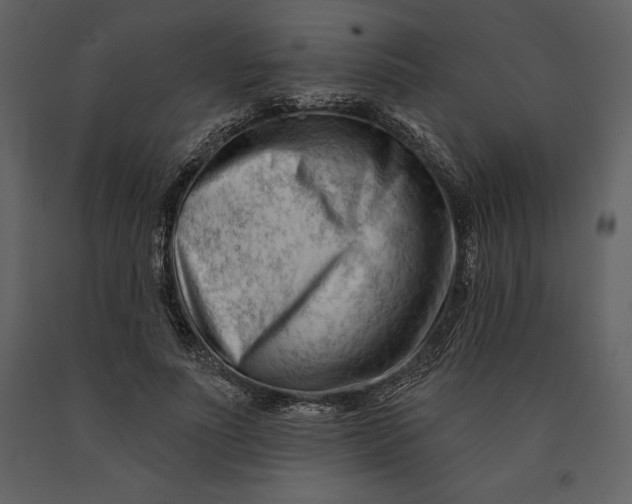 X0000090970691200708241316