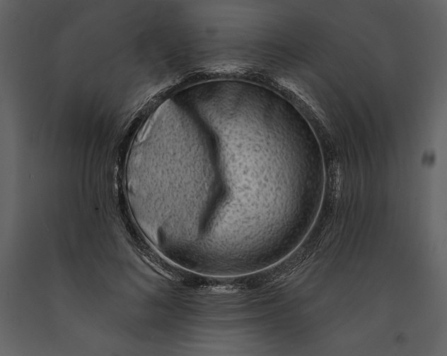 X0000090970692200708241316