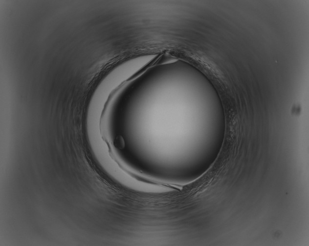 X0000090970693200708241316