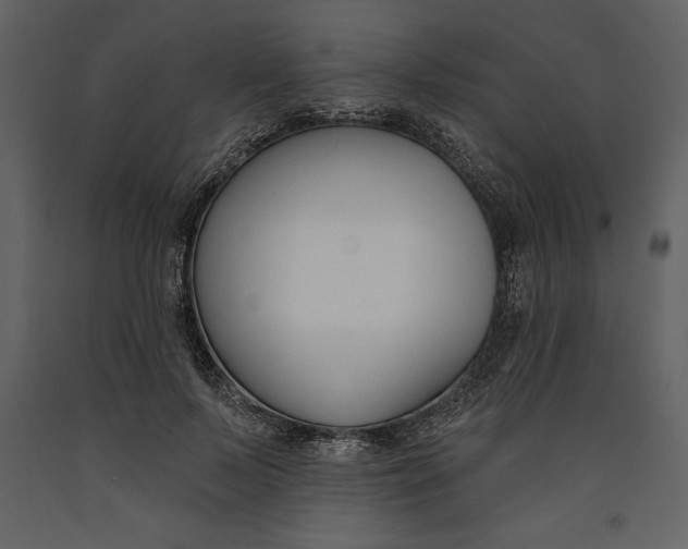 X0000090970695200708241316