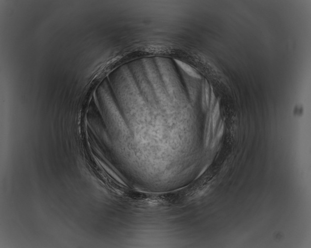 X0000090970696200708241316