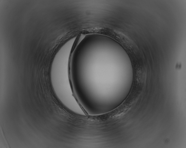 X0000090970697200708241316