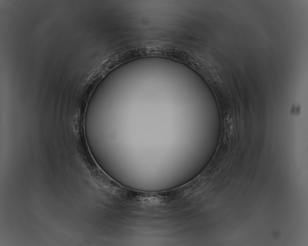 X0000090970698200708241316