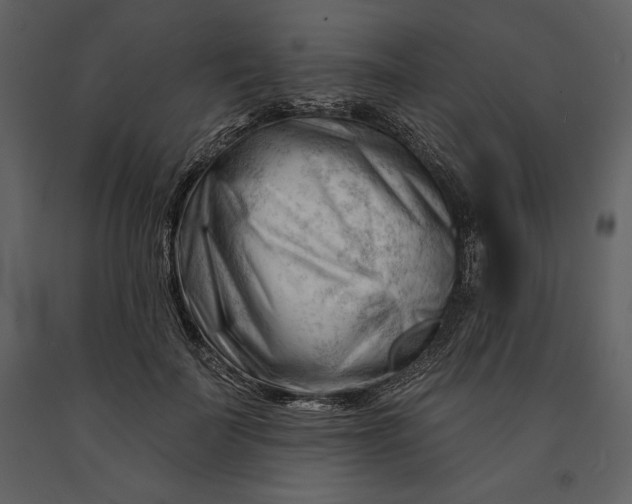 X0000090970699200708241316