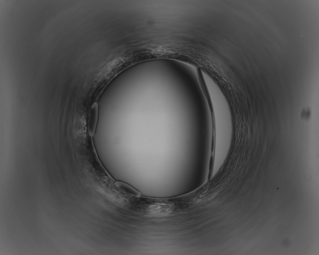 X0000090970700200708241316