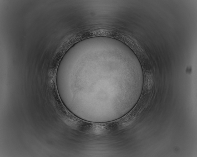 X0000090970701200708241316