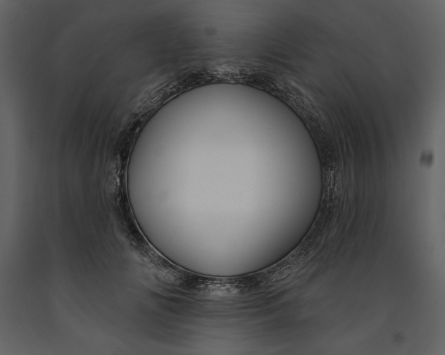 X0000090970702200708241316