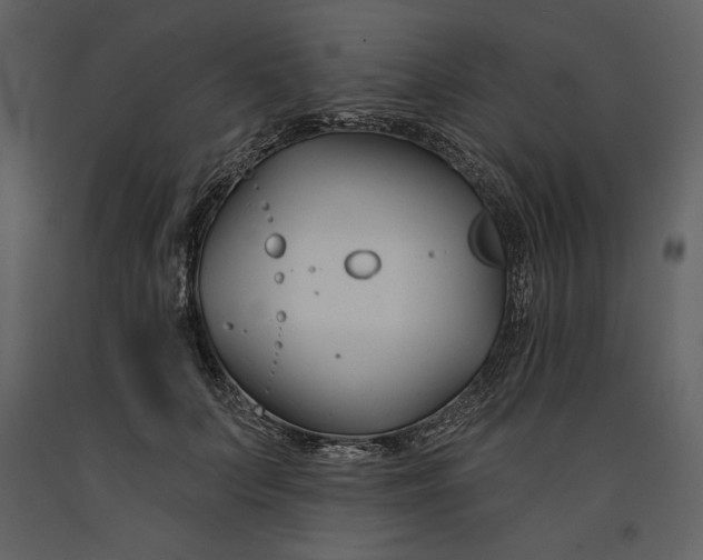 X0000090970703200708241316