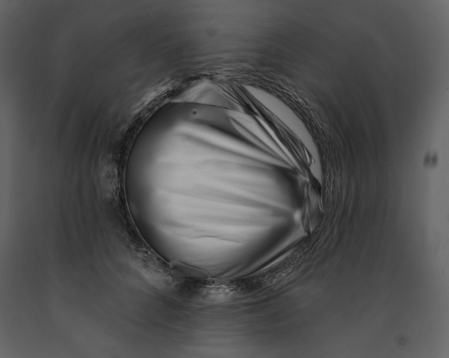 X0000090970704200708241316