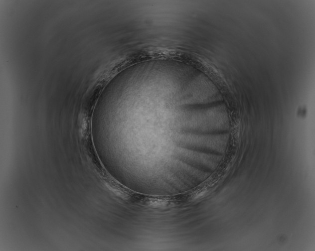 X0000090970709200708241315