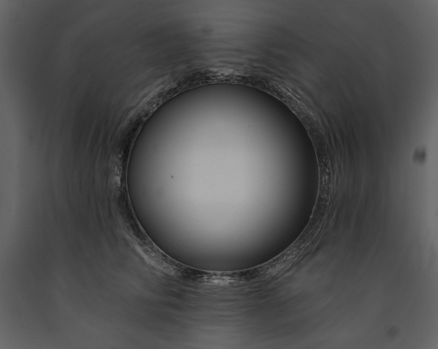 X0000090970710200708241315