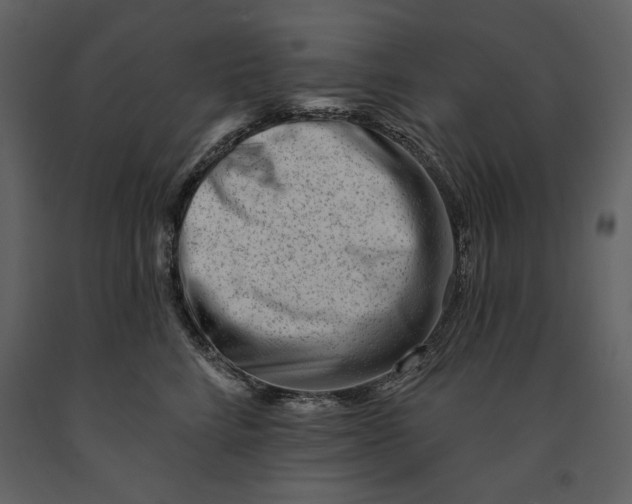 X0000090970712200708241315