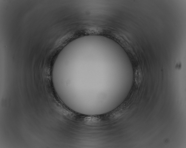 X0000090970714200708241315