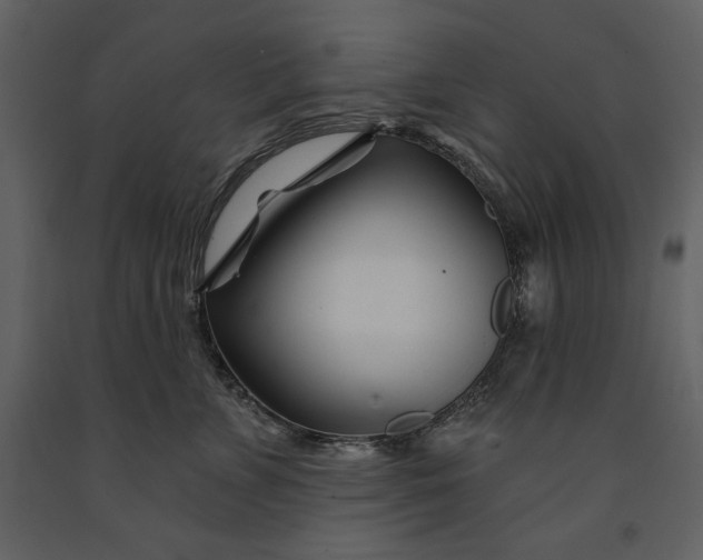 X0000090970715200708241315