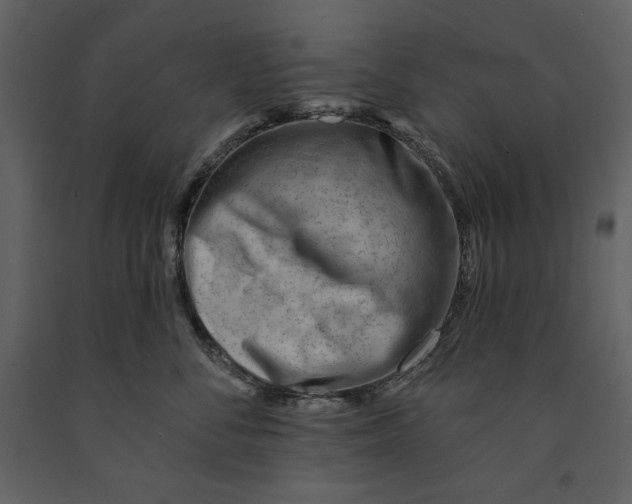 X0000090970716200708241315