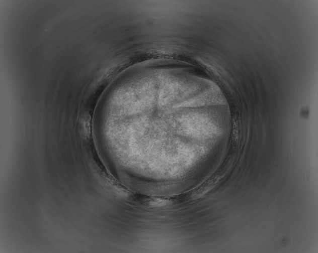 X0000090970718200708241315