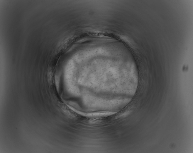 X0000090970720200708241315