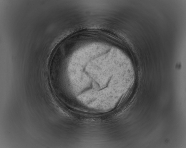 X0000090970721200708241314