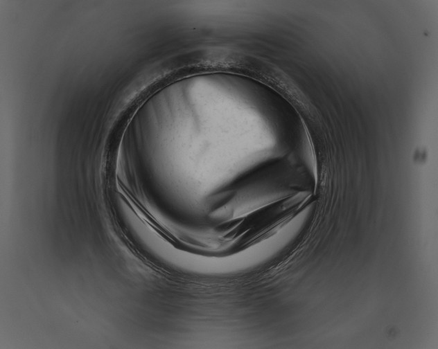 X0000090970722200708241315