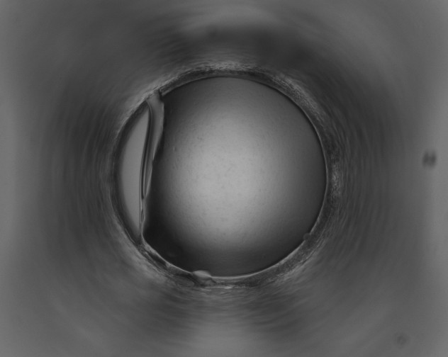 X0000090970725200708241315